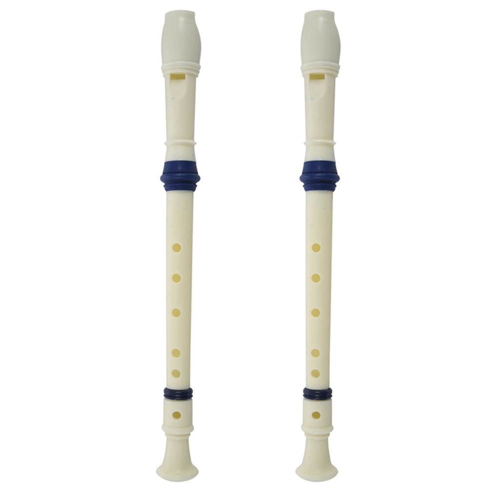Musical Instrument Recorder - Flûte à bec soprano FSTE-2X à