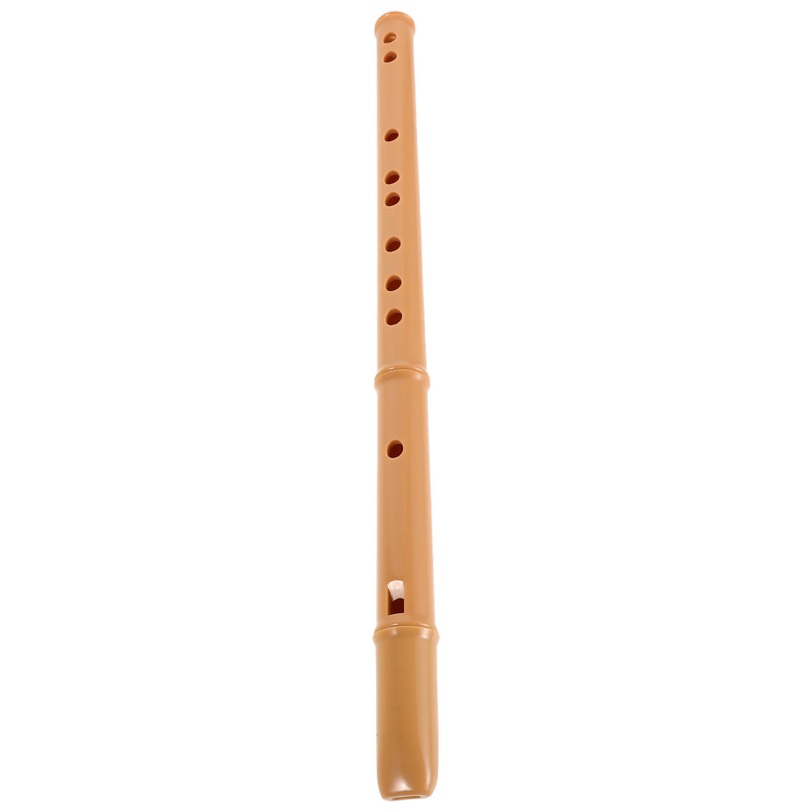 Musical Instrument Recorder - Flûte à bec en résine détachable