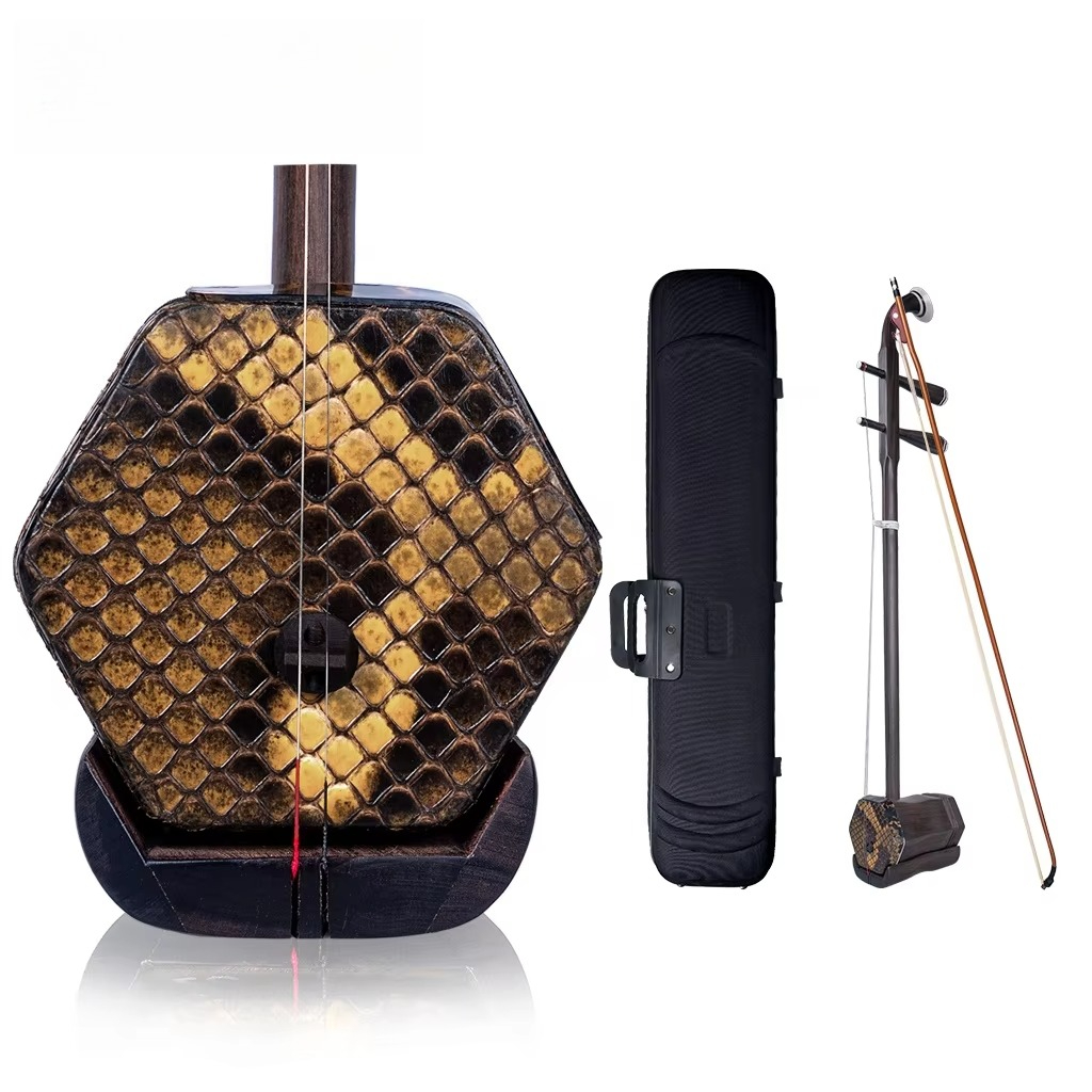 Musical Instrument Fiddle - Erhu artistes avancés maître âgé palissandre