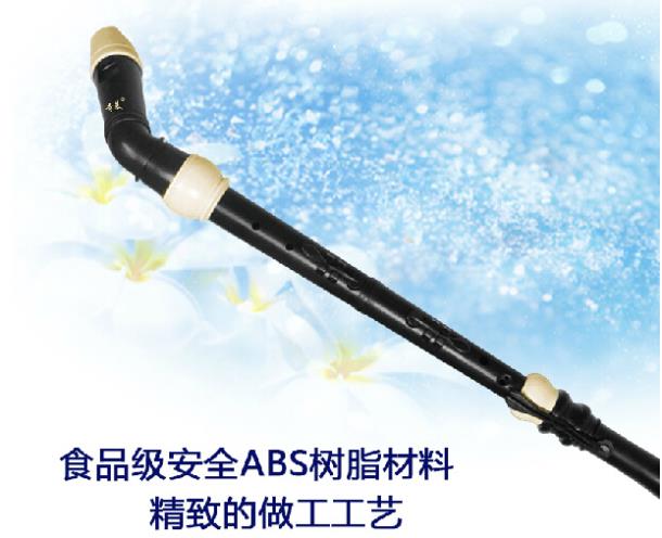 Clarinette professionnelle en  - Musical Instrument Recorder avis et prix
