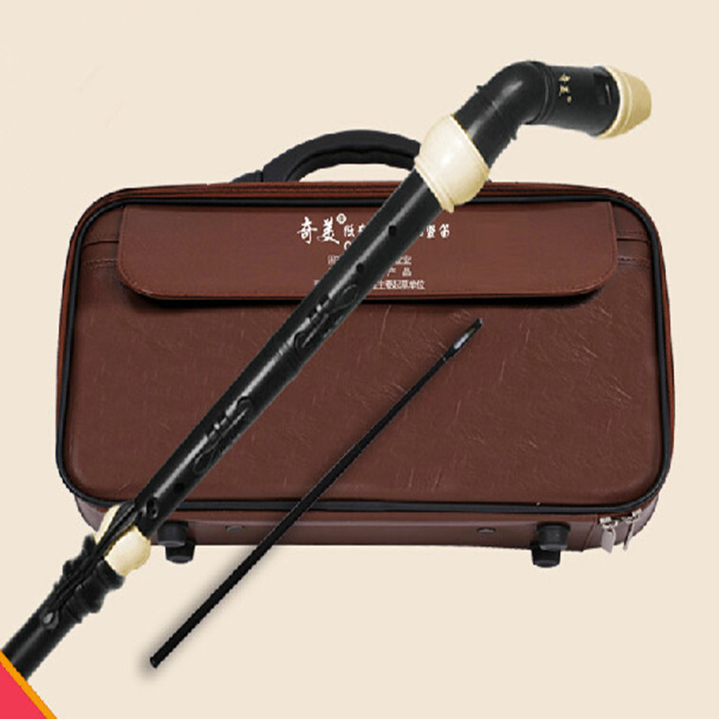 Clarinette professionnelle en  - Musical Instrument Recorder avis et prix