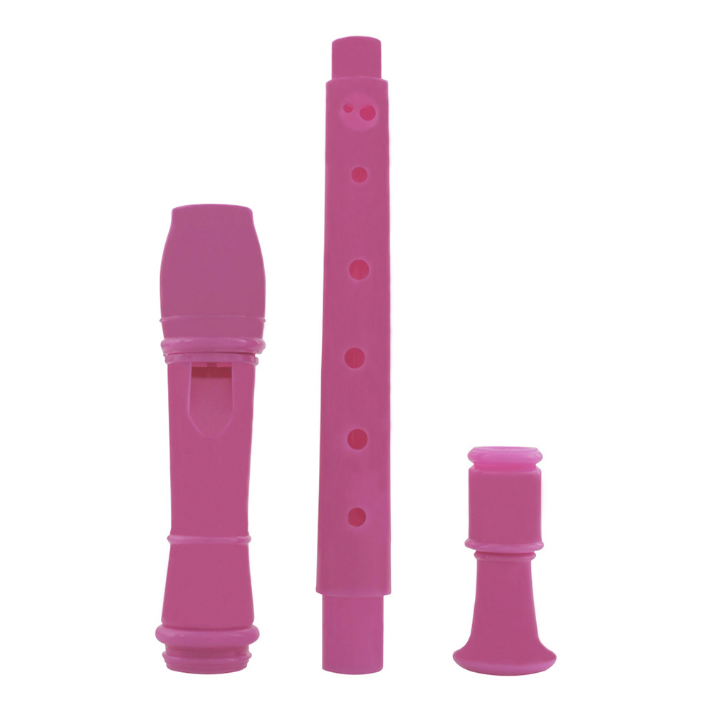 Flûte à bec IRIN 8 trous en AB - Musical Instrument Recorder avis et prix