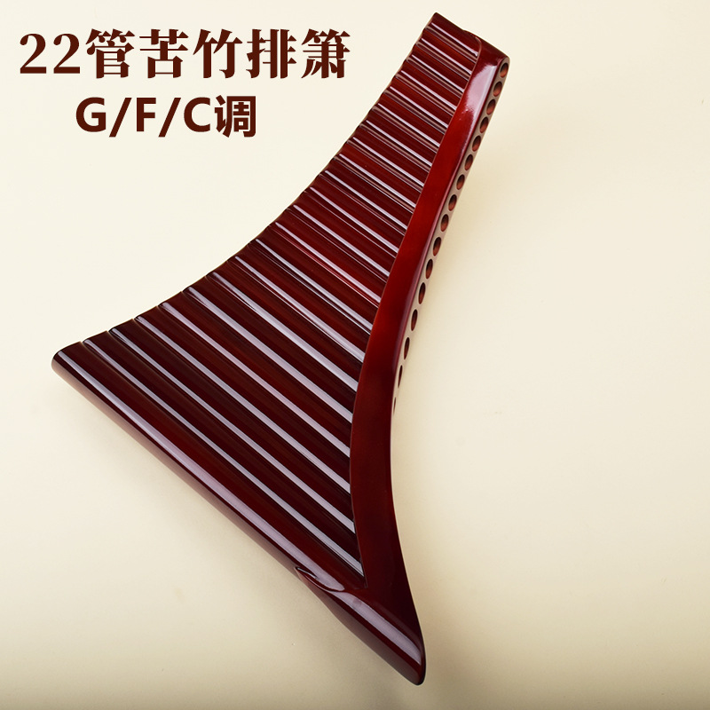 Flûte à bec à 22 cannelures, e - Musical Instrument For Beginners avis et prix