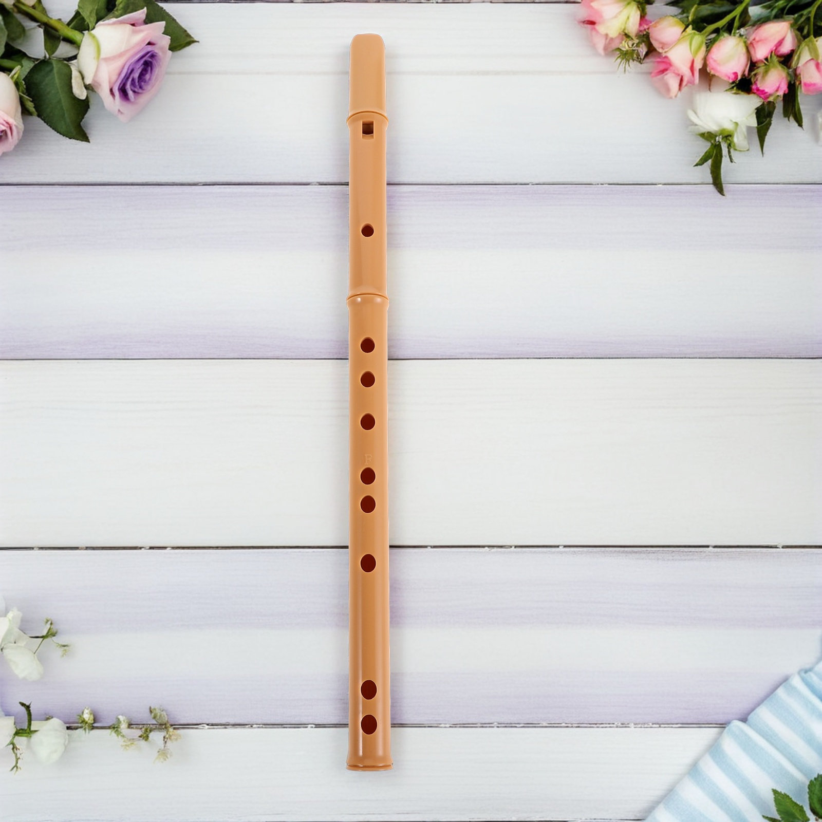 Flûte à bec en résine détachab - Musical Instrument Recorder avis et prix