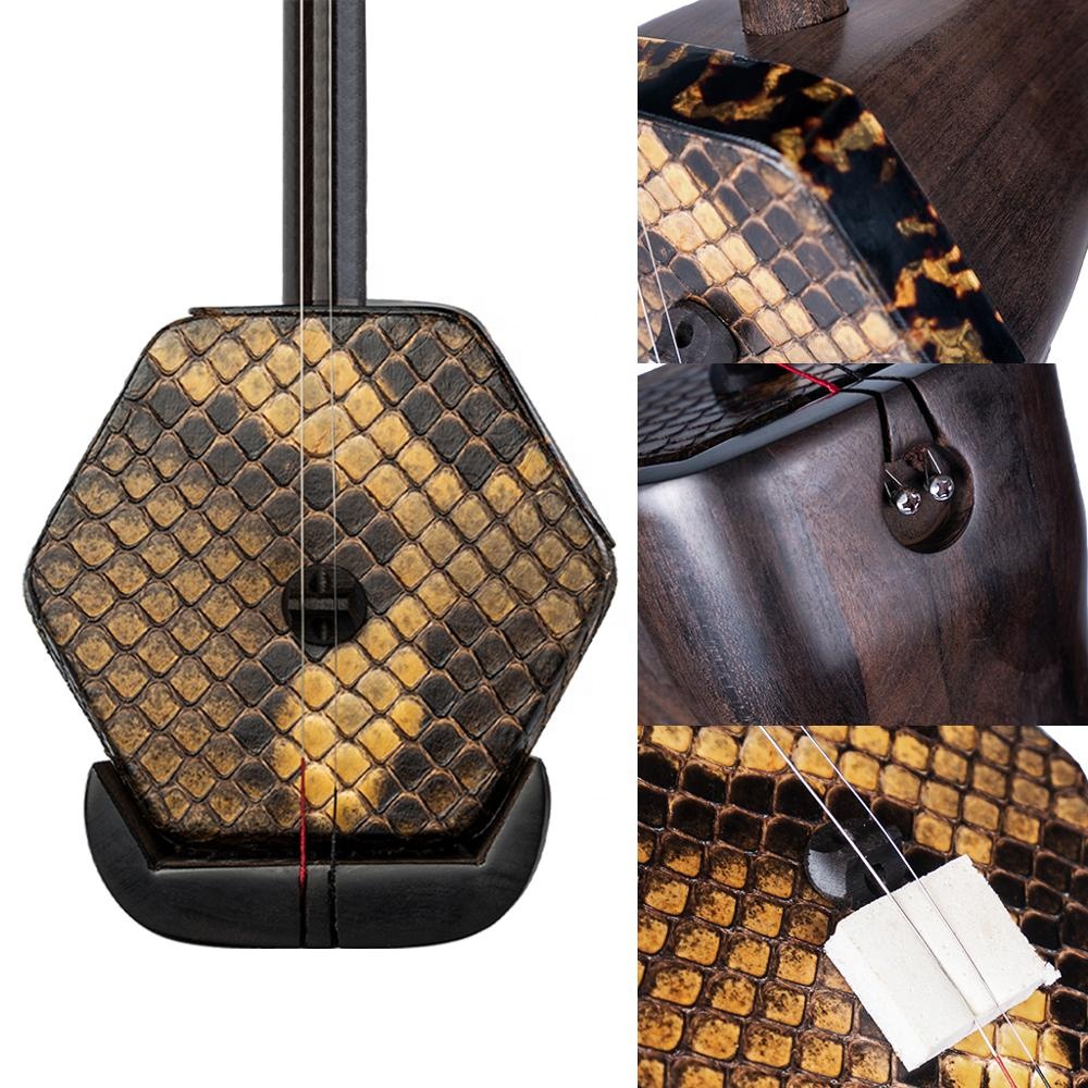 Erhu artistes avancés maître â - Musical Instrument Fiddle avis et prix